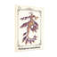 Imprimé artistique animaux Seadragon-1125144770