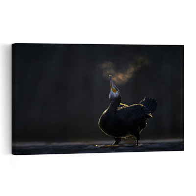 Cormorant'S Cold Breath Minimalist Bird Wall Art Print 1 Piece Wrapped Canvas Wall Art
