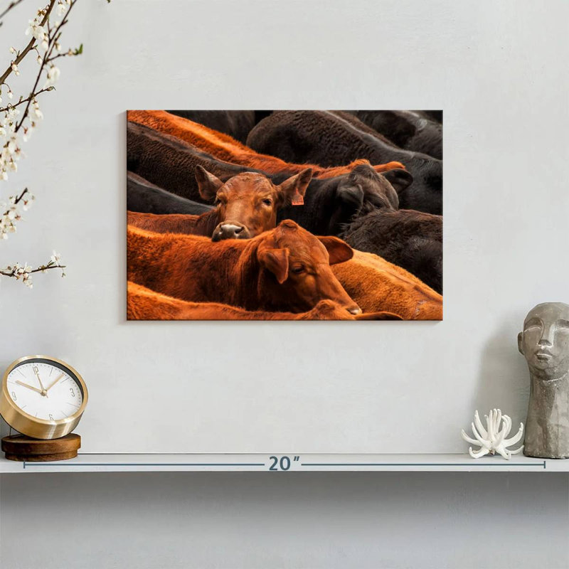 Brampt Beef Cattle, 8" H x 12" W