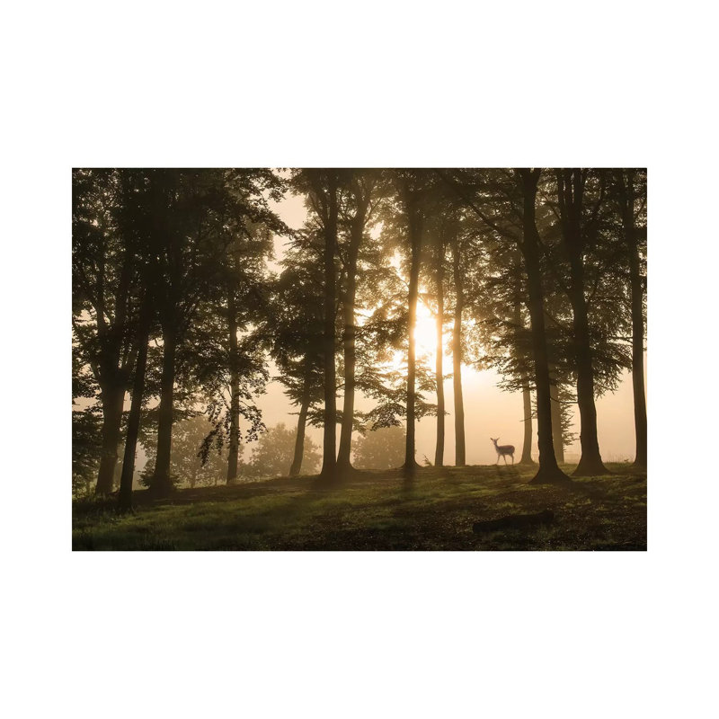 Deer In The Morning Mist. by Leif Londal - Print on Canvas, Wrapped Canvas, 45.72cm H x 66.04cm W x 3.81cm D