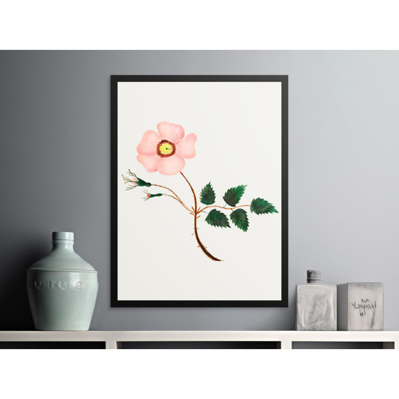 Kane No Frame Print, 24x32