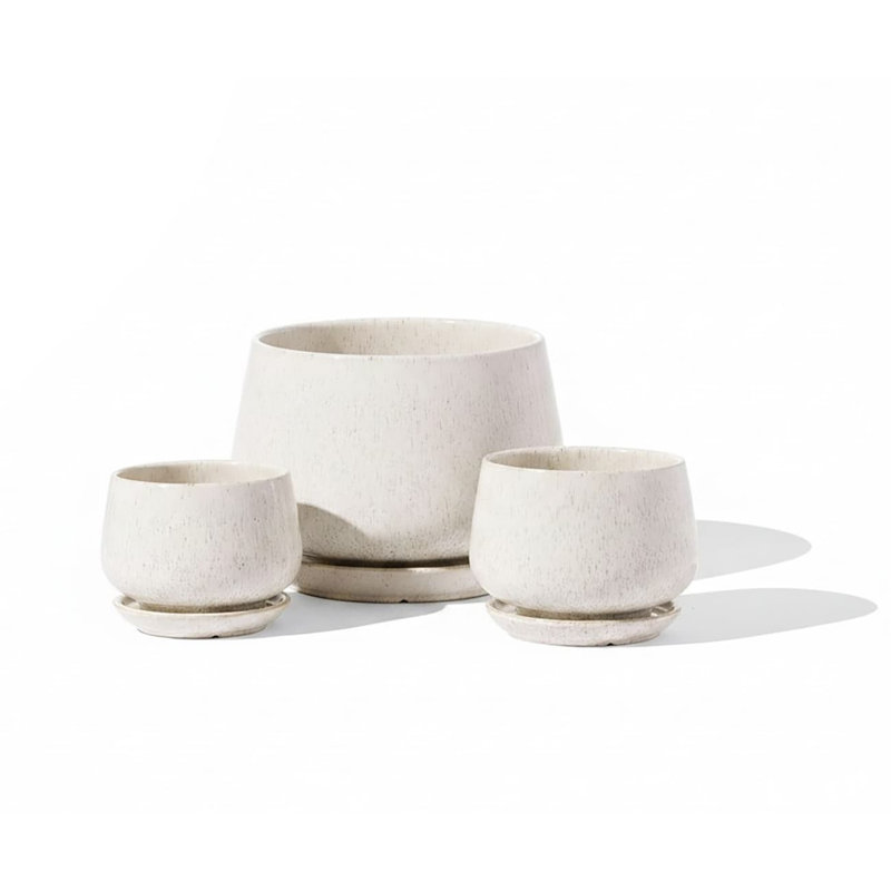 Ceramic Pot Planter