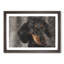 Portrait of a Dachshund Dog - Picture Frame Painting Print-56758383-56758381