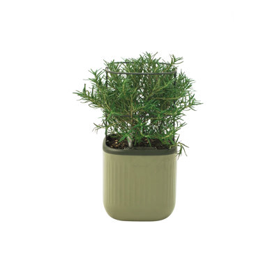 Mini pot à fleurs d'extérieur en plastique avec treillis