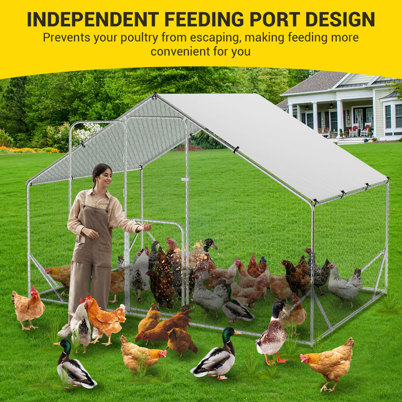 Gabriellina Walk In Chicken Run, H 78,74 po x l 118 po x P 78,74 po
