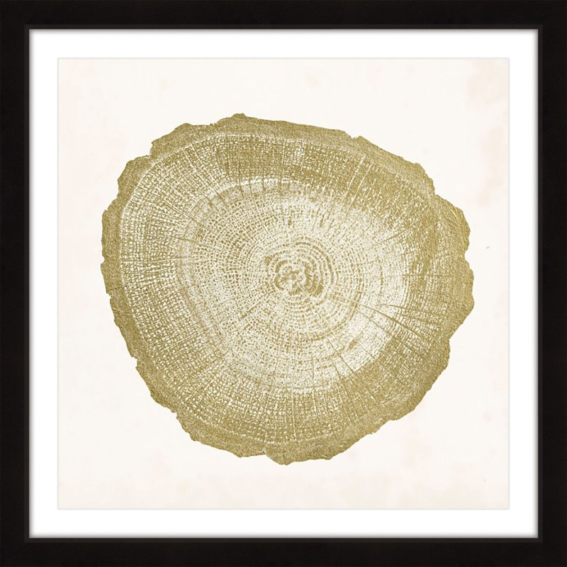 "Tree Ring IV", reproduction encadrée, H 24 po x l 24 po x P 1,5 po