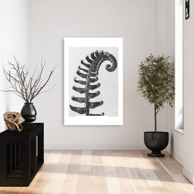 «Polystichum Munitum», reproduction d'art rétro sur toile de cheval, 48" H x 32" W