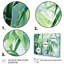Bamboo Romantic Dream I - impression-1250928478-1250928469