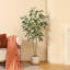 Faux ficus Agostino avec pot de fleurs rond blanc-1639527782