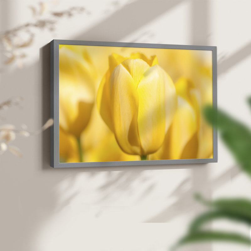 Sunshine Yellow II -Framed Print - Restickable, Gray, 11" H x 14" W