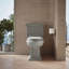 Cachet Quiet-Close with Quick-Attach Hinges and Grip-Tight Elongated Toilet Seat-227631466-197957343