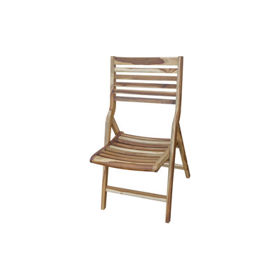 EcoDecors Mid-Century Modern Indoor/Outdoor Teak Folding Dining Chair
