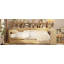 Lit de jour moderne multifonctionnel avec lit gigogne et tablettes de rangement-118416135-118416137