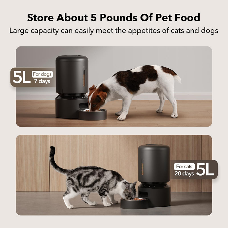 Granary Black Stainless Steel Automatic Pet Feeder with WiFi
