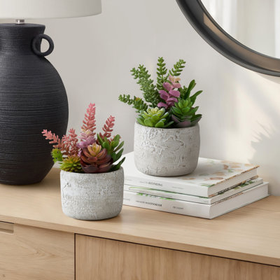 Ensemble de 2 plantes succulentes artificielles, 23 cm de hauteur, fausse verdure de table, pots en ciment gris, décoration intérieure moderne