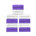 White/Purple