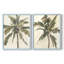 «Antique Watercolor Palm Study I», reproduction encadrée de qualité supérieure - prête à être accrochée - aucun clou requis - aucun clou requis-1111245665-1111245669
