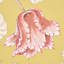 Papier peint Josephine-55967383