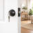 Single Cylinder Deadbolt-125491888