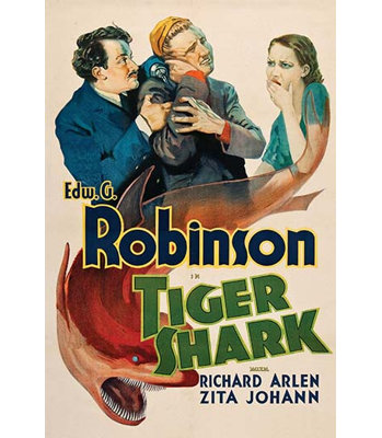 « tiger shark »