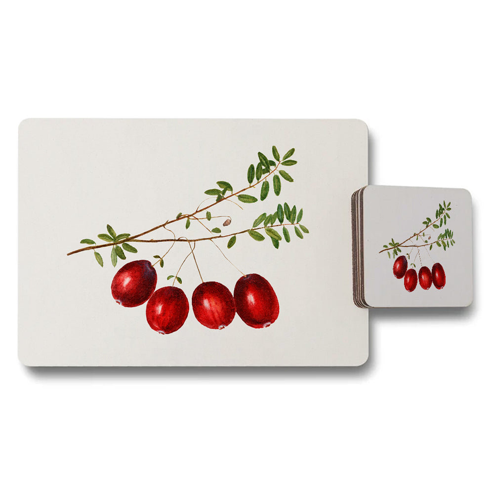 Berry Botanical Placemat And Coaster Set With Red Berries Design