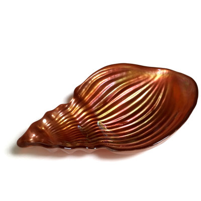 Plateau de coquillage conch