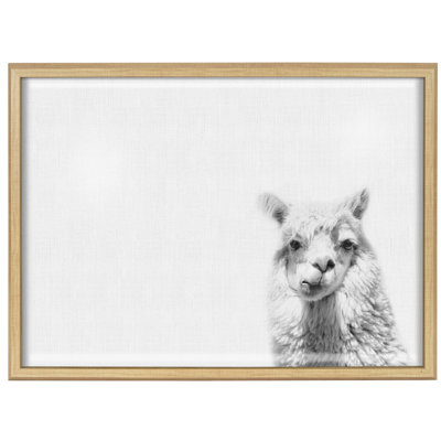 Blake " Alpaca "