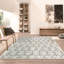 Nemesis Cowhide Geometric Area Rug-941194374