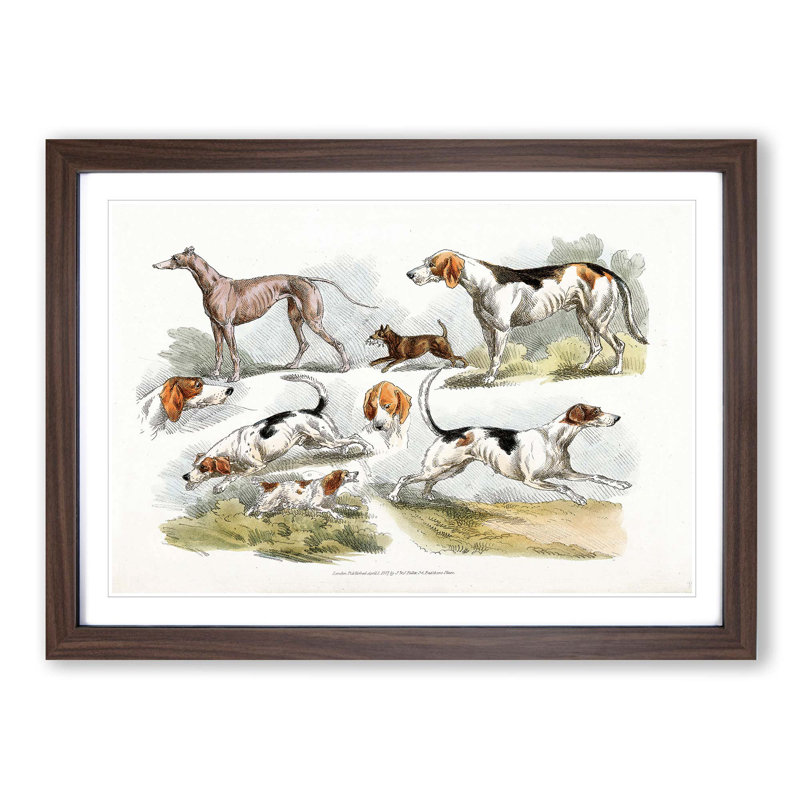 Hunting Dogs by Henry Alken - Picture Frame Painting Print, Walnut Framed, 48cm H x 65cm W x 2cm D