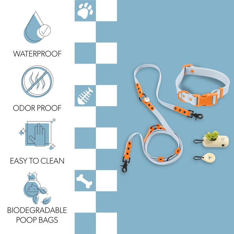 Laisse ajustable mains libres et collier 6-en-1 avec lampe DEL Luna 8 pi, Large, Bleu clair / orange