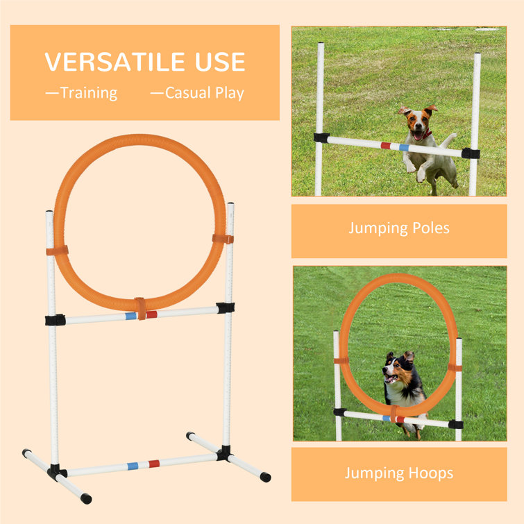 RAIN QUEEN Équipement de dressage d'agilité pour chien – Kit de démarrage  de parcours d'obstacles pour chiens – Jeux de plein air pour animaux de  compagnie avec tunnel, poteaux tissés, haie réglable