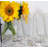 Napoleon Bee 15oz. Drinking Glass Set