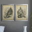 «The Larch», reproduction encadrée de qualité supérieure - prête à être accrochée-288119438-288119540