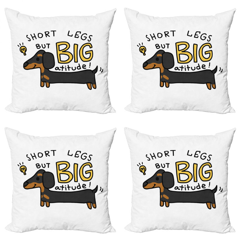 Housse de coussin Ambesonne, 24" X 24"