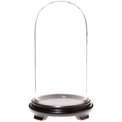 Keiarra 5.5" x 11" Glass Display Dome Cloche