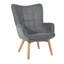 Drucker 68cm Wide Tufted Wingback Chair-1179919502