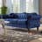 Evianna 79.5'' Velvet Sofa-129680435-92171949