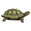 Statue de Gilbert, la tortue-boîte