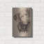 «Chessapeake Bay Retriever» par Barbara Keith-997570465