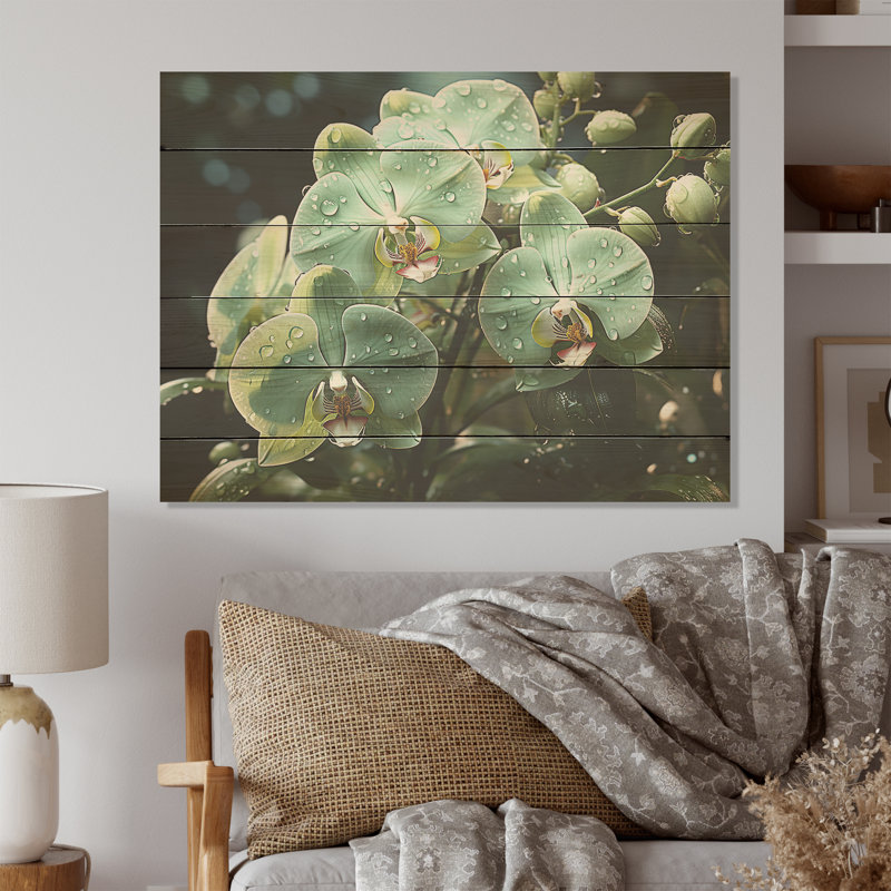 Orchidées vertes, élégance réaliste, art sur bois de pin naturel, H 24 po x l 32 po