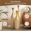 Hall d'entrée (27,6 à 35,4 pouces) vases et pots, combinant cadre blanc et métal de 27,56 po avec champagne