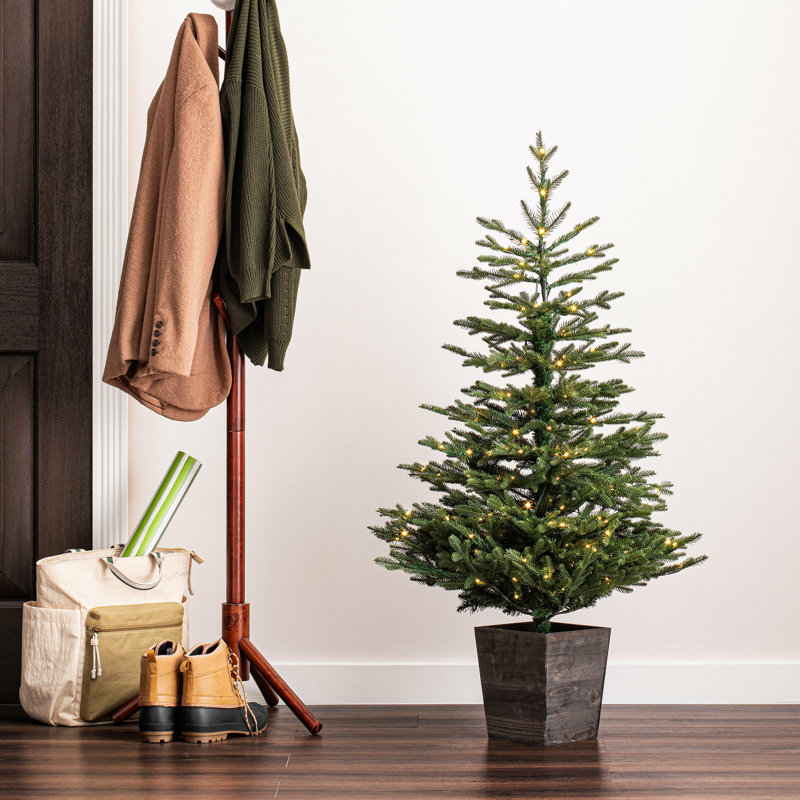 4' H Lighted Artificial Pine Christmas Tree