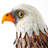 Eagle Garden Statue, Facing Left_x000D_