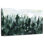Alvord montagne brume paysages forêt I