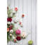 Tige chrysanthemum-22214106