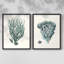 Antique encadré de corail de qualité antique - impression prête à accrocher - aucun clou requis-1650987233-1650987225