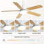 Ventilateur de plafond écoénergétique 42 pouces avec 5 pales et silencieux réversible avec télécommande