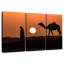 Silhouette d'homme et de chameau-210365481