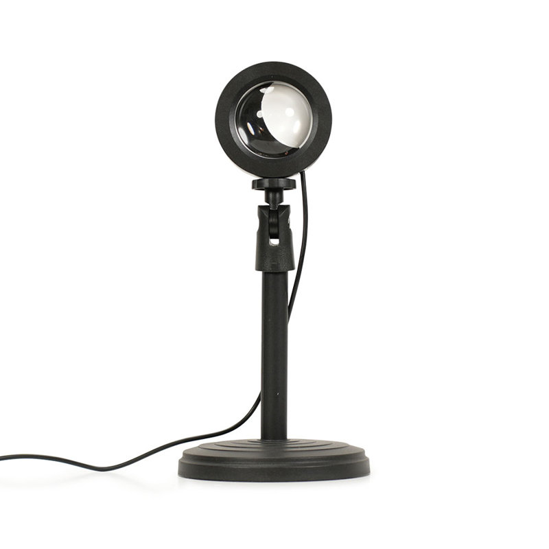 Annaya Metal Novelty Lamp