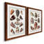 Toile encadrée avec coquillages collectés - prêt à accrocher-533082421-533046679-533082427